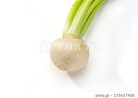 新鮮な葉付きかぶ(蕪) 135637488