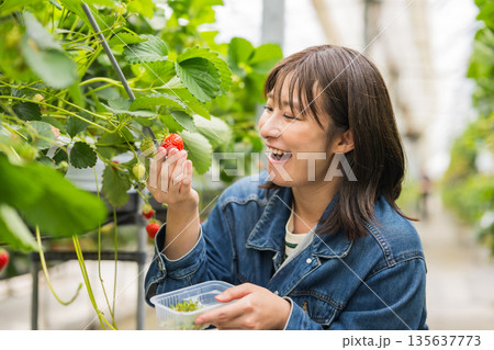 笑顔でいちごを持つ女性 笑顔でいちごを持つ女性 135637773