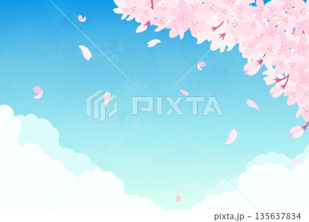 桜と青空のイラスト_横2 桜と青空のイラスト_横2 135637834