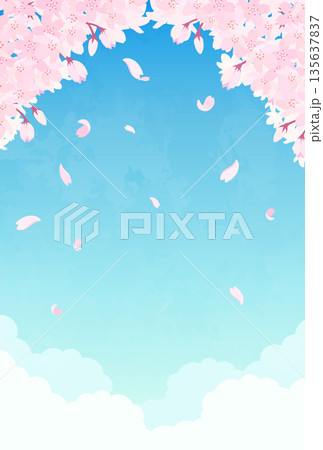 桜と青空のイラスト_縦1 135637837