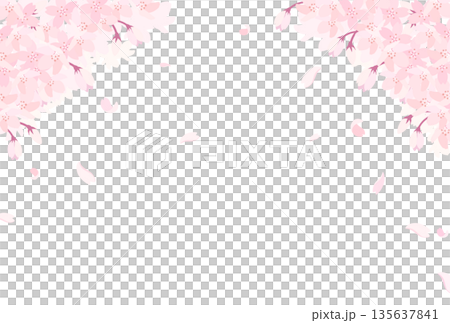 盛開的櫻花插圖_橫向 1 盛開的櫻花插圖_橫向 1 135637841