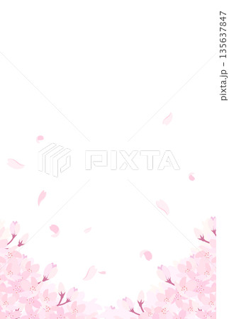 満開の桜のイラスト_縦3 135637847