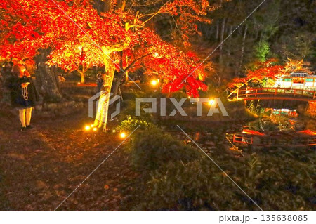 紅葉狩り 135638085