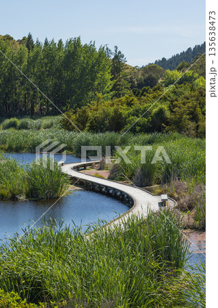 ニュージーランド　ホークス・ベイ地方にある湿地保護区のペカペカ・リージョナルパーク 135638473