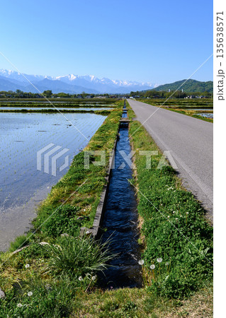 残雪の北アルプスと田植え時期の水田 安曇野の春 縦位置 風景 残雪の北アルプスと田植え時期の水田 安曇野の春 縦位置 風景 135638571