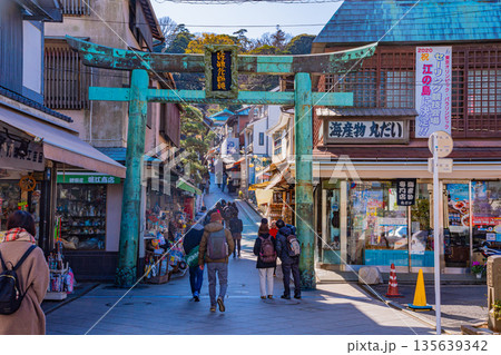 （神奈川県）江島神社 青銅鳥居と参拝者 135639342
