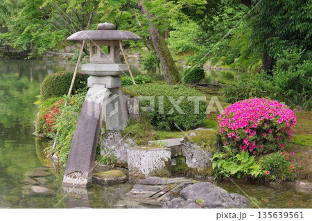 兼六園　霞ヶ池と徽軫灯籠 135639561