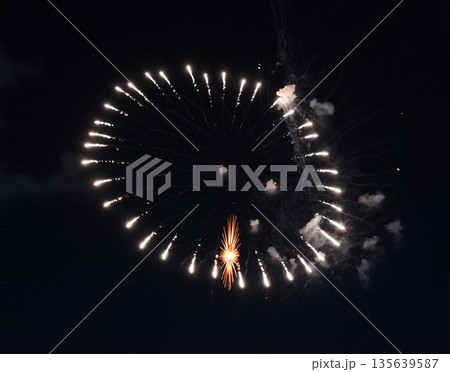 信州・戸倉上山田温泉 夏の花火大会（新作花火） 135639587