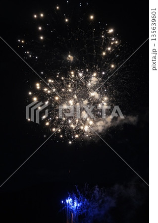 信州・戸倉上山田温泉 夏の花火大会（新作花火） 135639601