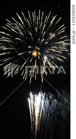 信州・戸倉上山田温泉 夏の花火大会（新作花火） 135639609