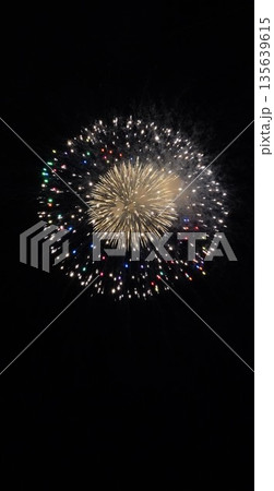 信州・戸倉上山田温泉 夏の花火大会(新作花火) 信州・戸倉上山田温泉 夏の花火大会(新作花火) 135639615