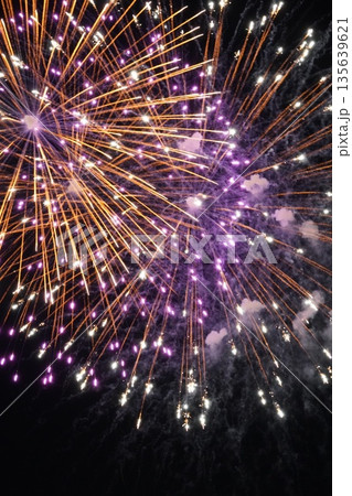 信州・戸倉上山田温泉 夏の花火大会(新作花火) 信州・戸倉上山田温泉 夏の花火大会(新作花火) 135639621