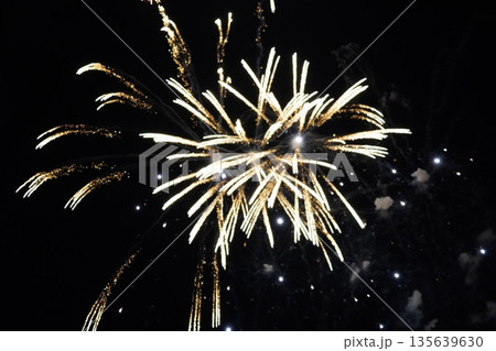 信州・戸倉上山田温泉 夏の花火大会（新作花火） 135639630