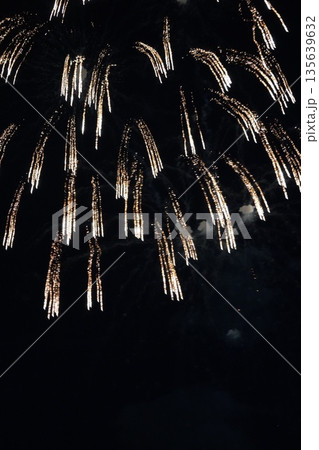 信州・戸倉上山田温泉 夏の花火大会（新作花火） 135639632