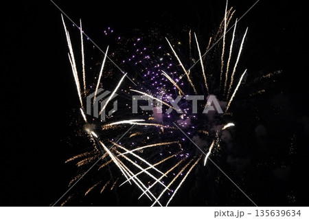 信州・戸倉上山田温泉 夏の花火大会（新作花火） 135639634