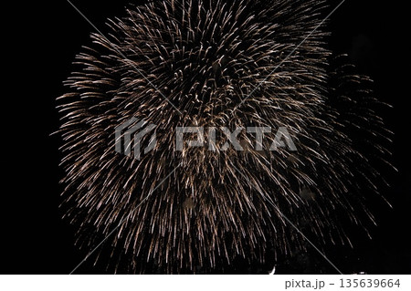 信州・戸倉上山田温泉 夏の花火大会(新作花火) 信州・戸倉上山田温泉 夏の花火大会(新作花火) 135639664
