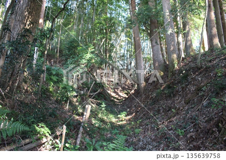 大谷津城 135639758