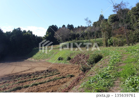 大谷津城 大谷津城 135639761