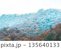 凍てつく紅葉の山 135640133