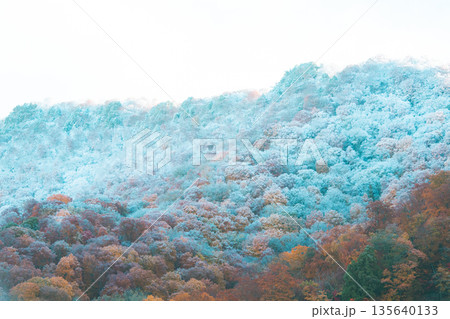 凍てつく紅葉の山 135640133