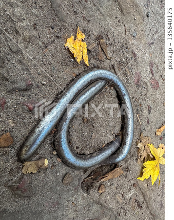 Steel lifting loops on precast concrete panel. 135640175