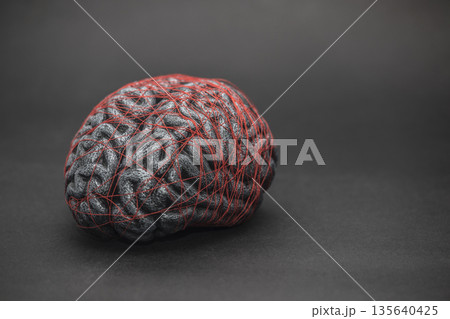 Human brain entwined with red thread. Concept of neurology, nervous system or human mind. 135640425