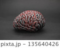 Human brain entwined with red thread. Concept of neurology, nervous system or human mind. 135640426