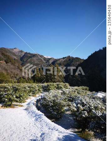 雪が降った畑　果樹園 135640438