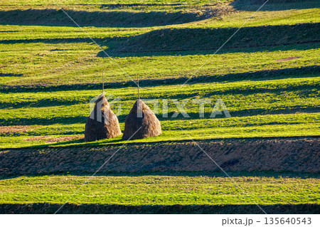 rural landscape in mountains under blue sky. agriculture nature in early spring. haystack on green hill. scenic countryside. green environment sustainability and protection. background for earth day rural landscape in mountains under blue sky. agriculture nature in early spring. haystack on green hill. scenic countryside. green environment sustainability and protection. background for earth day 135640543