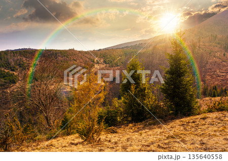 carpathian mountains in early spring at sunset. tree stumps on rolling hills in evening light. forest clearing. deforestation landscape under blue sky. hope, expectation, new beginning, bright future carpathian mountains in early spring at sunset. tree stumps on rolling hills in evening light. forest clearing. deforestation landscape under blue sky. hope, expectation, new beginning, bright future 135640558