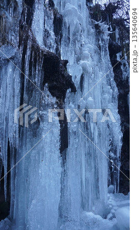 乙女滝下の氷瀑 135640694