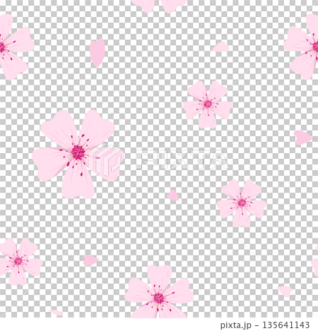 Sakura flower seamless pattern background, transparent background png. Sakura flower seamless pattern background, transparent background png. 135641143