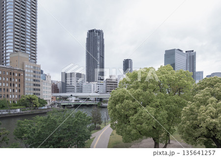 都市の公園の木々と高層ビル - 緑と都会の共存 都市の公園の木々と高層ビル - 緑と都会の共存 135641257