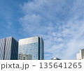 青空と雲を見上げる高層ビル群 - 広大なコピースペース 135641265