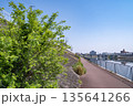 緑の茂みと河川敷の散歩道 - 自然と都会の境界線 135641266