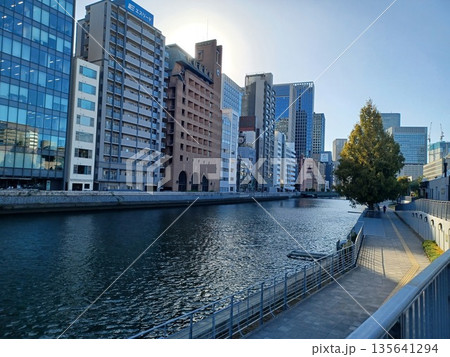 対岸にビルが立ち並ぶ川べりの遊歩道に立つ大きな木 135641294