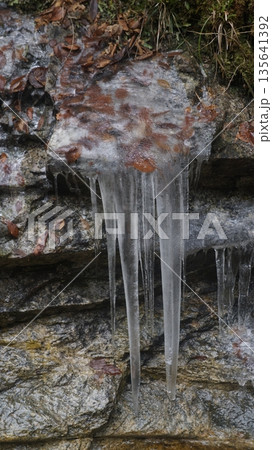 虻川の飛沫氷 135641392