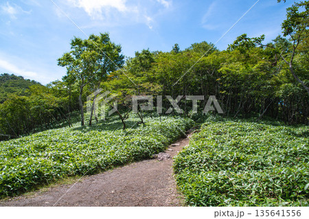 黒檜山から赤城駒ヶ岳への道 黒檜山から赤城駒ヶ岳への道 135641556