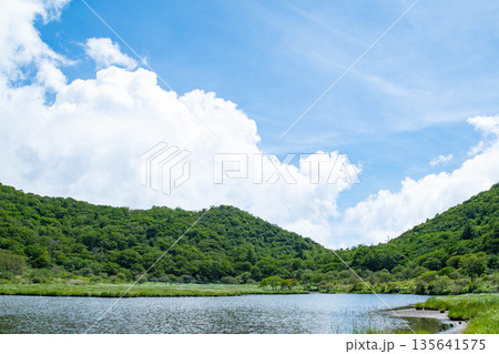 夏の覚満淵 夏の覚満淵 135641575