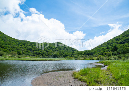 夏の覚満淵 135641576