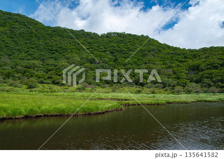 夏の覚満淵 135641582