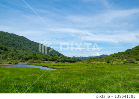 夏の覚満淵 夏の覚満淵 135641583