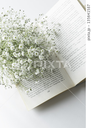 白い小花カスミソウと本 余白のある読書時間 白い小花カスミソウと本 余白のある読書時間 135641587