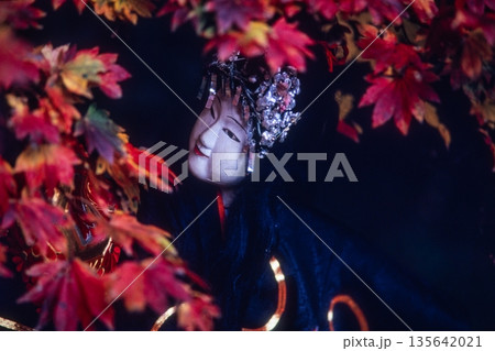 【新潟県_佐渡_文弥人形】国指定重要無形民俗文化財 135642021