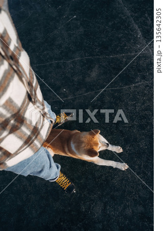Dog is sitting. Man with Akita Inu dog is on the ice with skates in winter 135642305