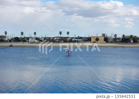 新舞子マリンパーク付近 135642531