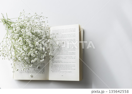 白い背景のコピースペース　カスミソウと洋書のフラットレイ 135642558