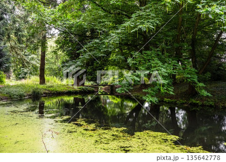 Calm forest river with green trees reflection in Park Rams Woerthe in Netherlands summer landscape Calm forest river with green trees reflection in Park Rams Woerthe in Netherlands summer landscape 135642778