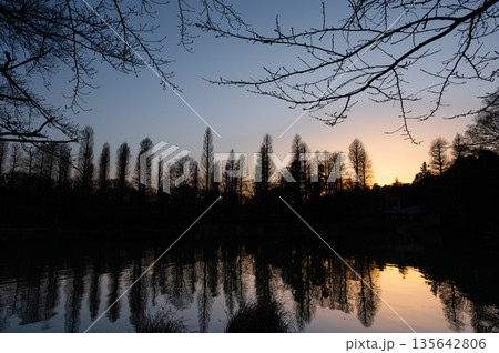 冬の井の頭公園の夕暮れ 135642806