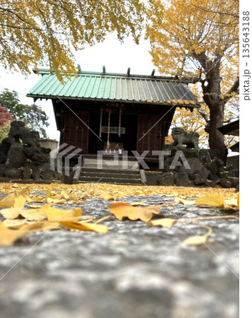 千葉県市川市本塩にある「本塩豊受神社」 千葉県市川市本塩にある「本塩豊受神社」 135643188